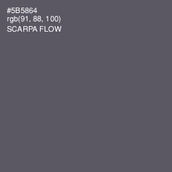 #5B5864 - Scarpa Flow Color Image